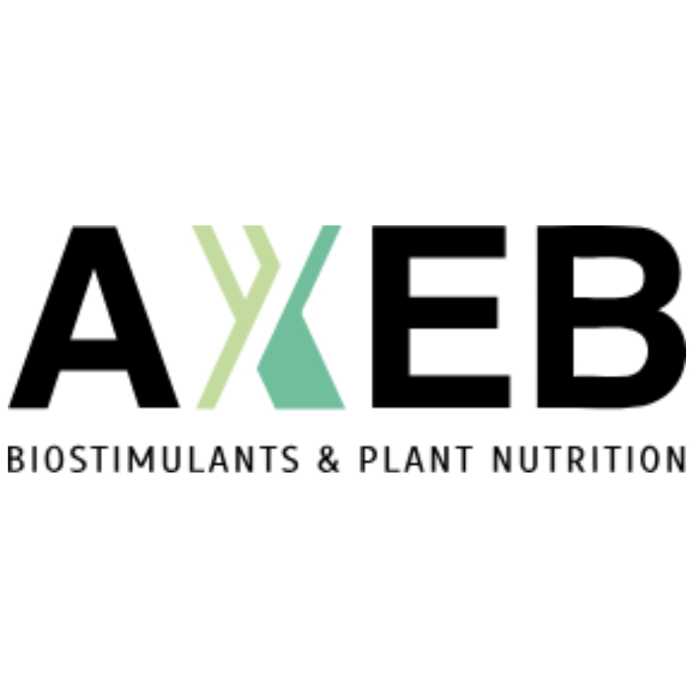 AXEB